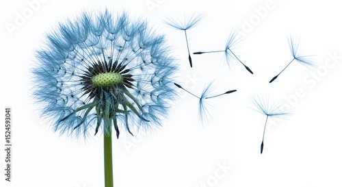 Wallpaper Mural A Breathtaking Dandelion Clock with Seeds Dispersing in the Wind Torontodigital.ca