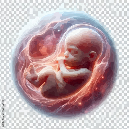 digital art of a fetus in the mother's womb 51