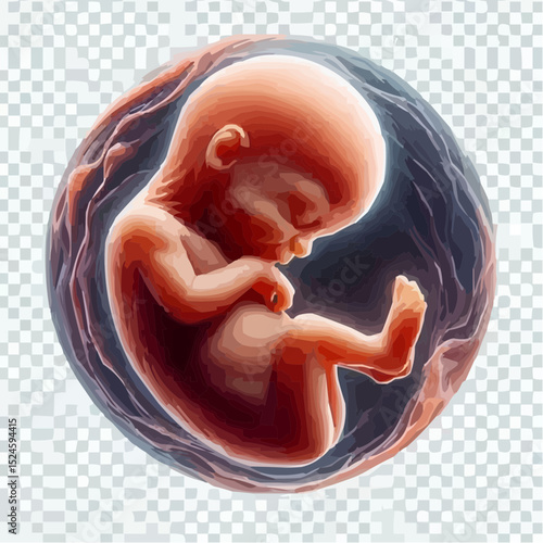 digital art of a fetus in the mother's womb 49