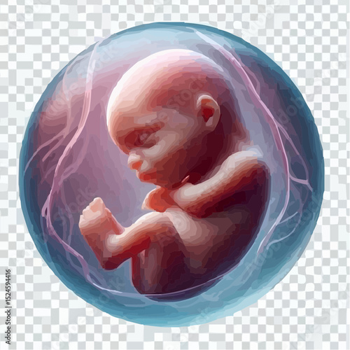 digital art of a fetus in the mother's womb 48