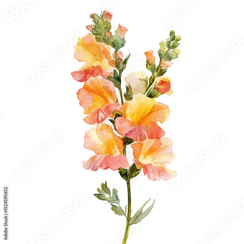 A Snapdragon Bouquet, watercolor vector, high quality, isolated on a white background.
