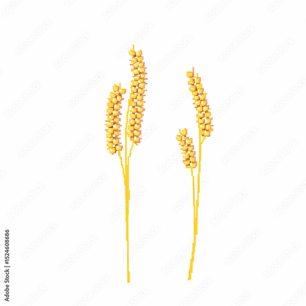 Two stalks of golden grain, detailed illustration Two stalks of golden grain, detailed illustration