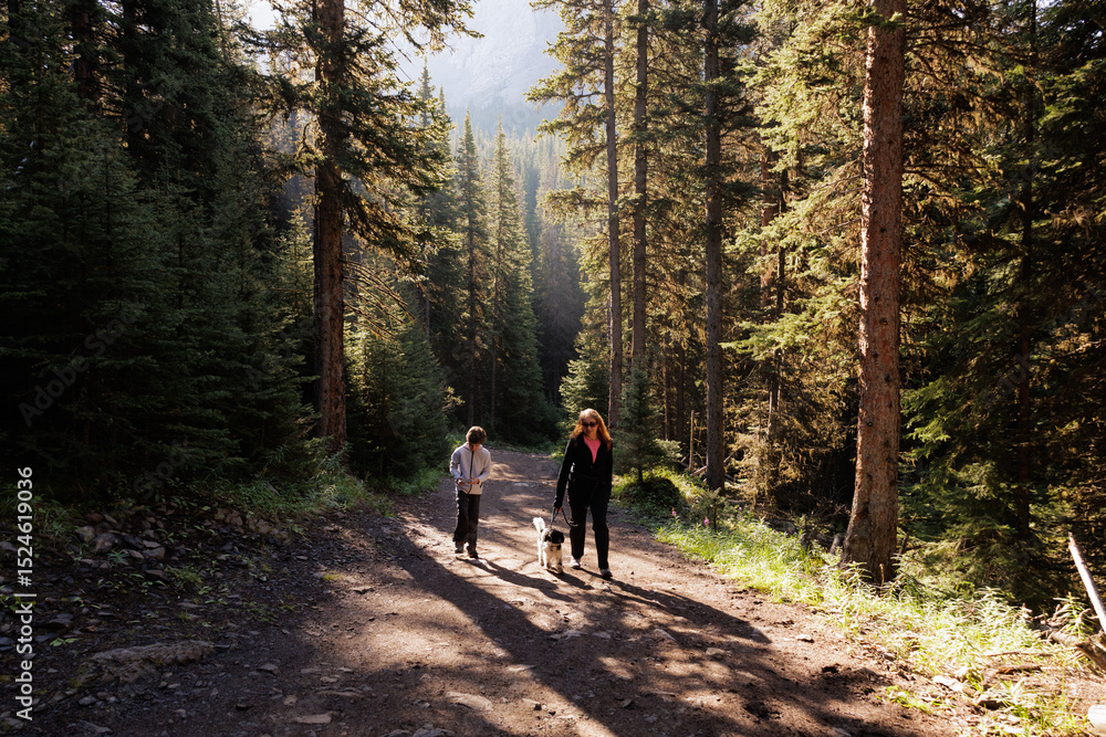 Obraz premium Woman and child walking with their dog in a forest