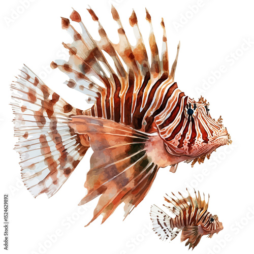 A Mother Lionfish With Her Kid, watercolor illustration vector, high quality, isolated on a white background.