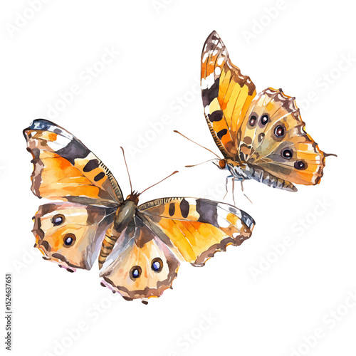 A Mother Butterfly With Her Kid, watercolor painting vector, high quality, isolated on a white background.
