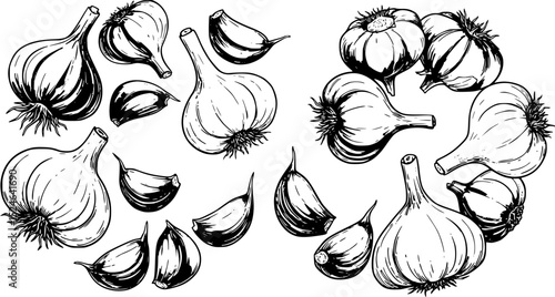 Stylized illustrations of various garlic cloves and bulbs arranged in a creative pattern
