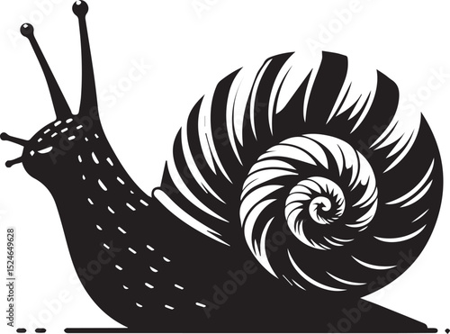snail on the road, snail vector illustration, snail vector illustration icon