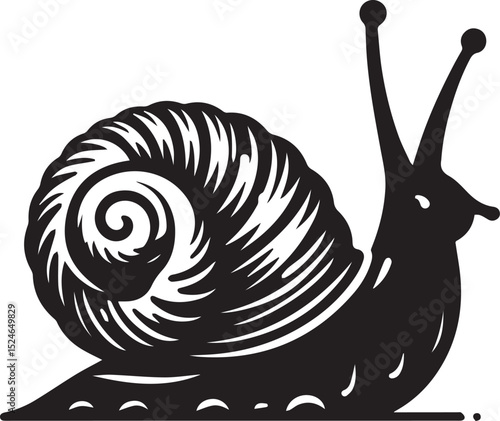snail on the road, snail vector illustration, snail vector illustration icon