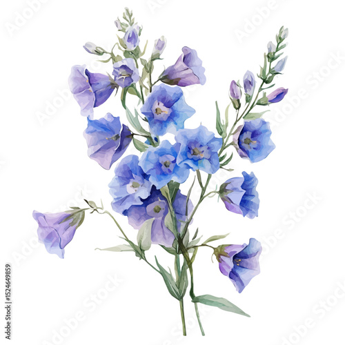 A Larkspur Bouquet, watercolor drawing vector, high quality, isolated on a white background.