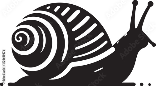 snail on the road, snail vector illustration, snail vector illustration icon