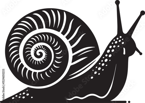 snail on the road, snail vector illustration, snail vector illustration icon