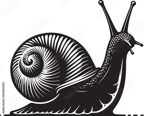snail on the road, snail vector illustration, snail vector illustration icon
