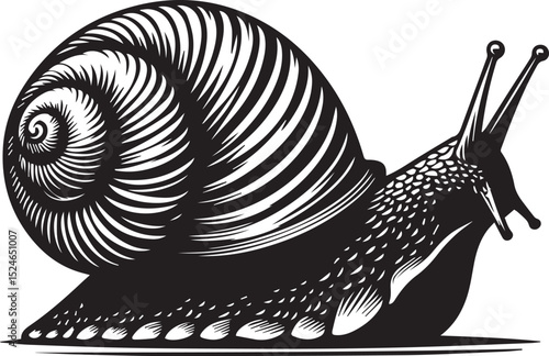snail on the road, snail vector illustration, snail vector illustration icon