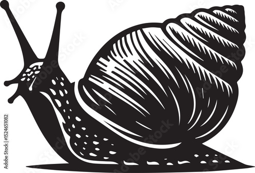 snail on the road, snail vector illustration, snail vector illustration icon