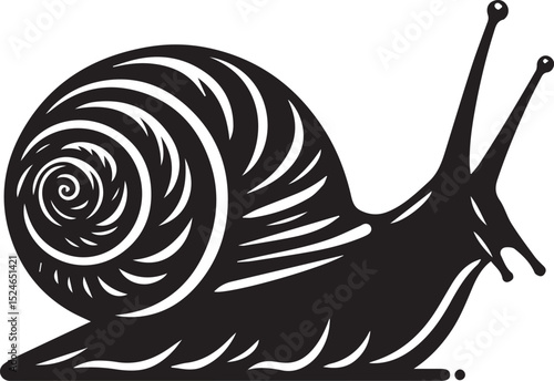 snail on the road, snail vector illustration, snail vector illustration icon