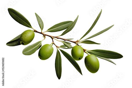 Wallpaper Mural Isolated green olives with leaves on white background Torontodigital.ca