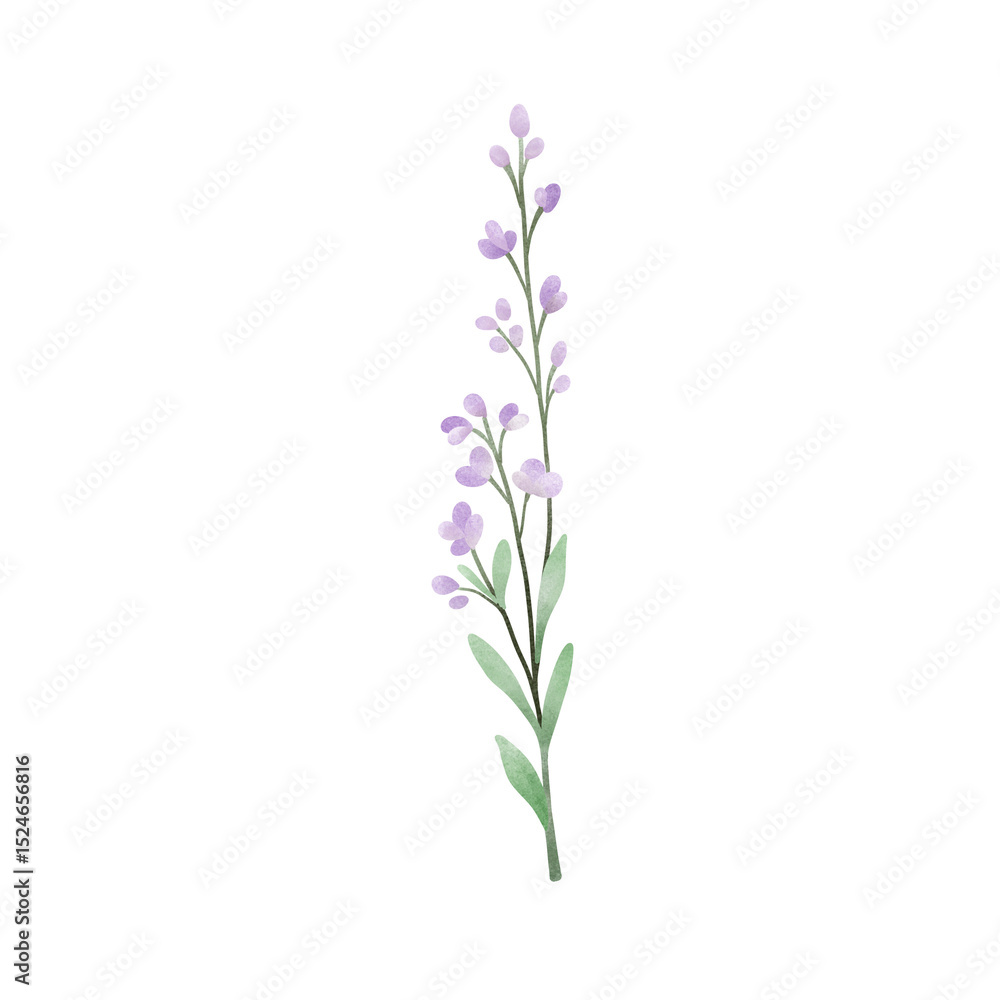 Naklejka premium Wild for