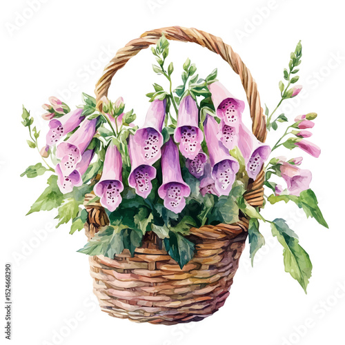 watercolor vector of A Foxglove Flower Basket, high quality, isolated on a white background.