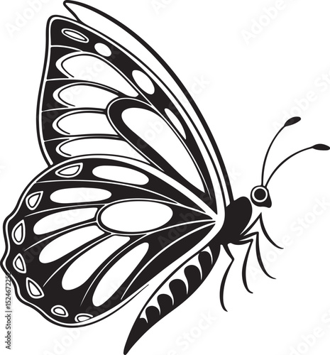 Side view butterfly silhouette with smooth antenna and curved wings, bold black outline, clean shape, no background, good for stock