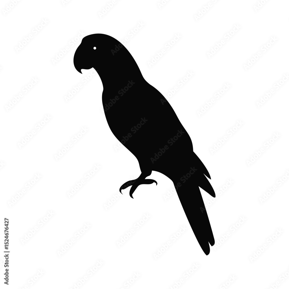 Fototapeta premium Parrot Silhouette Vector Design White Background.