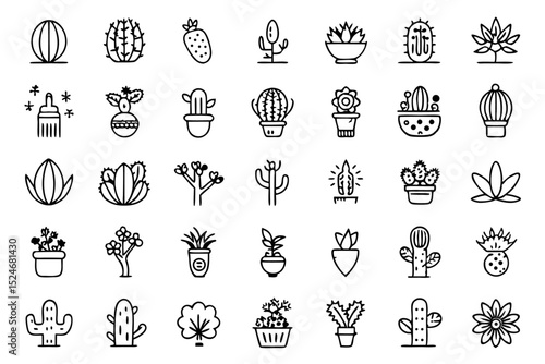 Collection of line icons depicting cactus aloe vera and botany elements isolated on transparent background