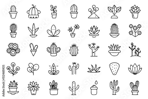 Collection of line icons depicting cactus aloe vera and botany elements isolated on transparent background