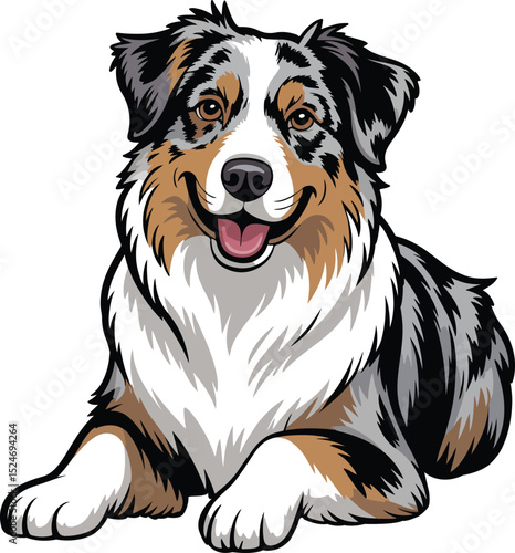 Cute Australian Shepherd Dog Vector
