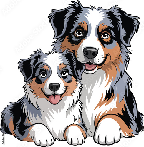 Cute Australian Shepherd Dog Vector