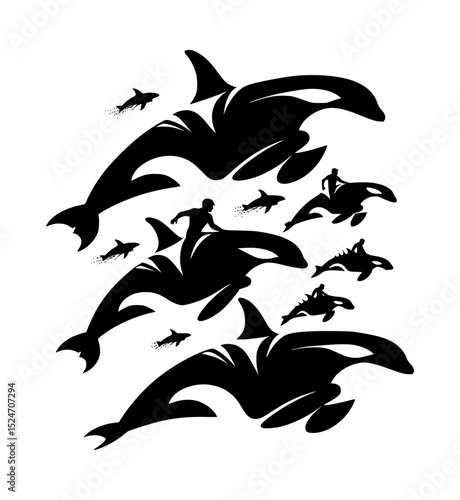 Silhouette orcas with people surfing