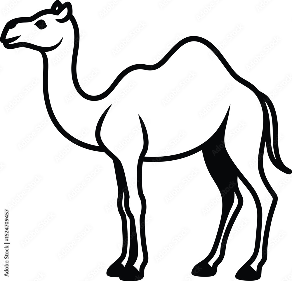 Fototapeta premium camel isolated on white