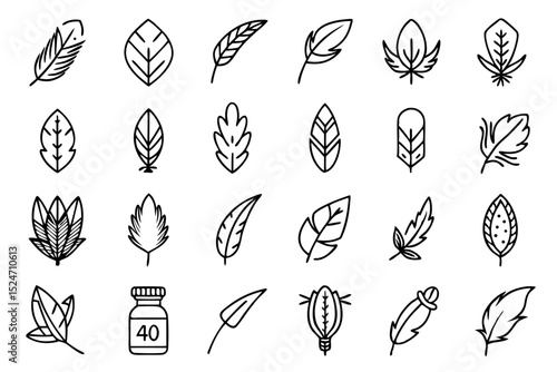 Collection of line icons depicting feathers soft fillers and birds isolated on transparent background