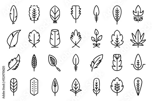 Collection of line icons depicting feathers soft fillers and birds isolated on transparent background