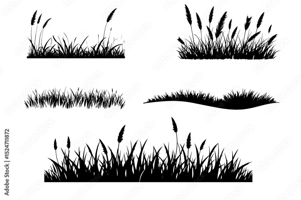 Black grass silhouettes  grass bushes, wild grassy plants, grass clumps shapes  white  isolated background