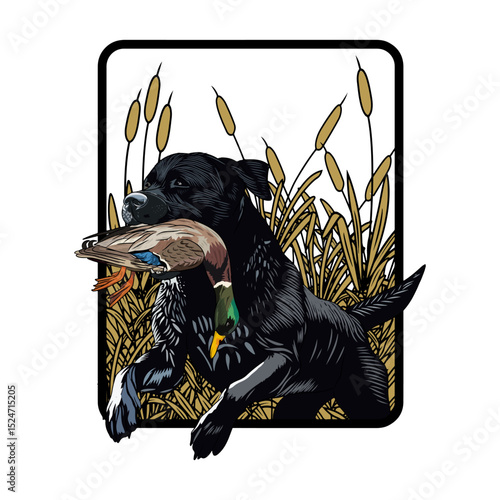 labrador dog bite duck hunting illustration logo vector image t shirt