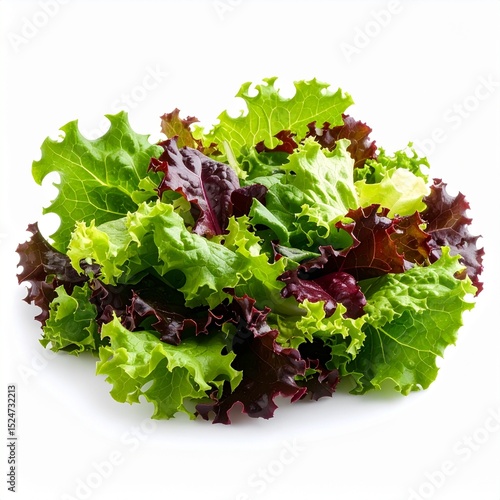 Fresh organic lettuce salad mix healthy food vegetarian vegan diet raw