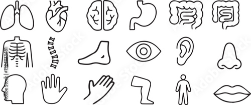 Line Art Icons of Human Organs and Body Parts Set