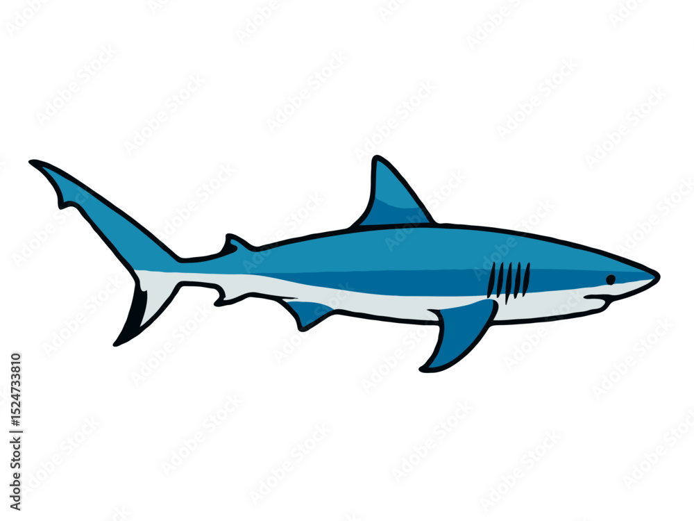 shark vector illustration shark vector illustration