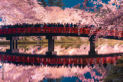 満開を迎えた青森・弘前公園の夜桜