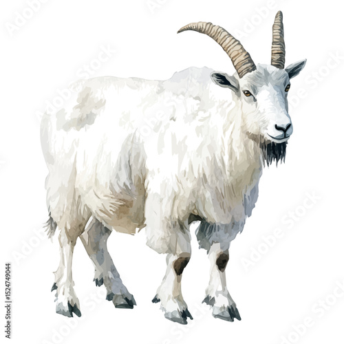 Mountain Goat, watercolor painting vector, high quality, isolated on a white background.