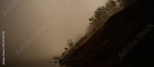 Scene from a Japanese Painting