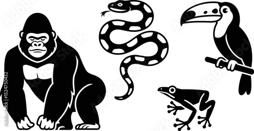 Vector illustration of gorilla snake toucan and frog black and white jungle animals clip art graphic design editable stock vector illustration