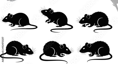 Illustration of six black silhouettes of rats on a white background