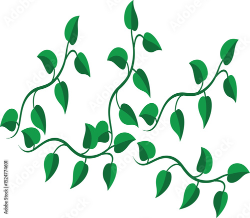 Pathos Money Plant: Golden Green Trailing Vine for Stock Photography
