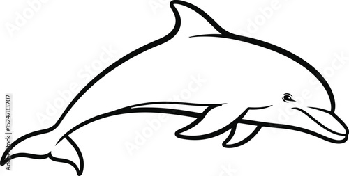dolphin isolated on white