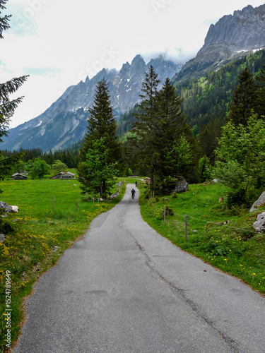 Switzerland, Meiringen, a path with trees on the side of a mountain road