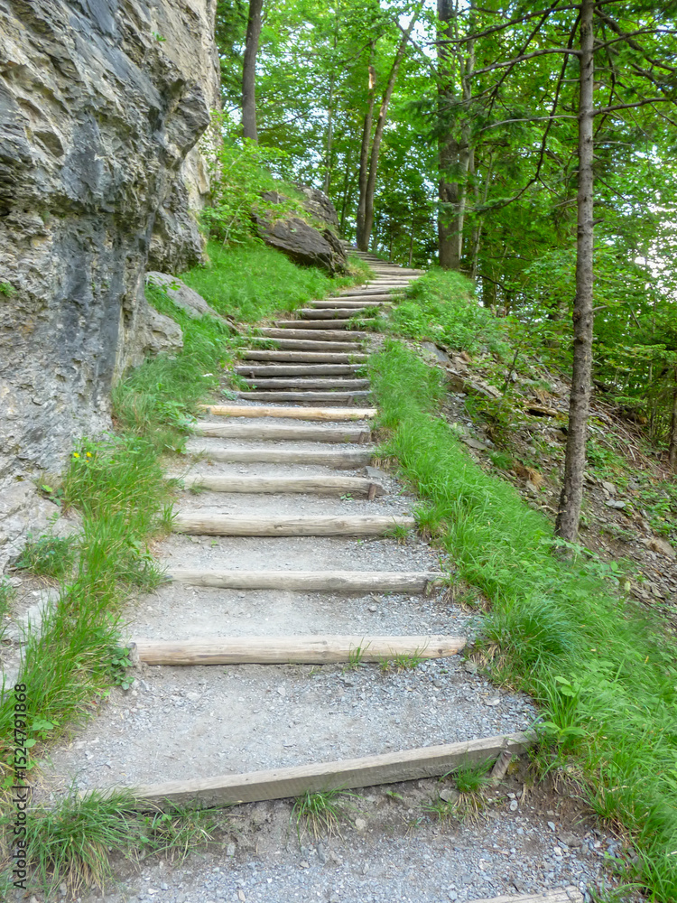 Obraz premium Switzerland, Meiringen, a path surrounded by trees