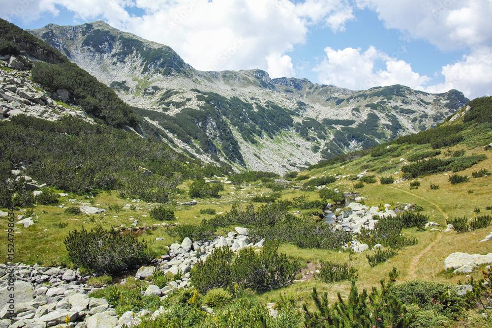 Naklejka premium Landscape of Pirin Mountain near Banderitsa Area, Bulgaria