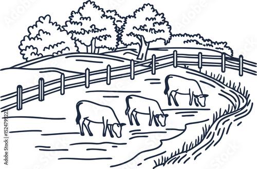 Cows grazing in countryside pasture with trees and wooden fence rural agriculture landscape, scenic farmland meadow