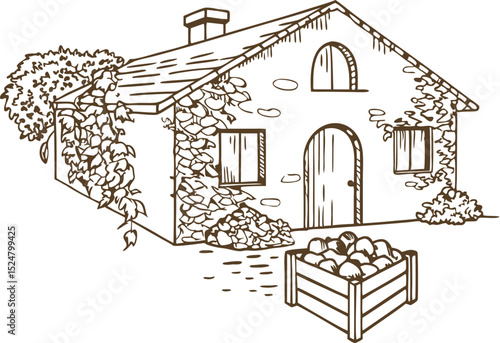 Countryside cottage exterior with ivy and apple crate rural house, garden harvest, rustic living concept