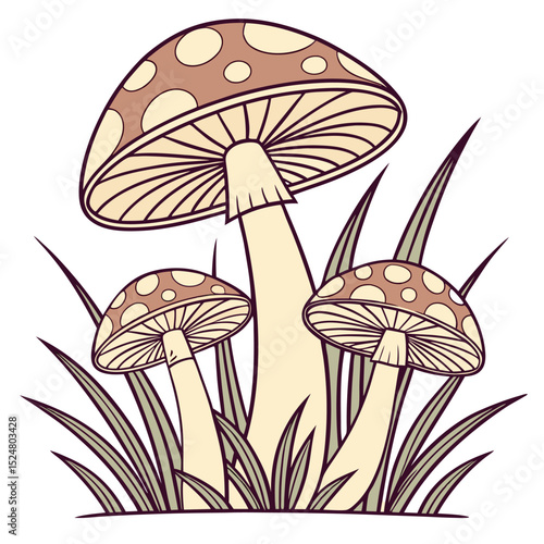 Delightful Fungi A Group of Mushrooms with Spots